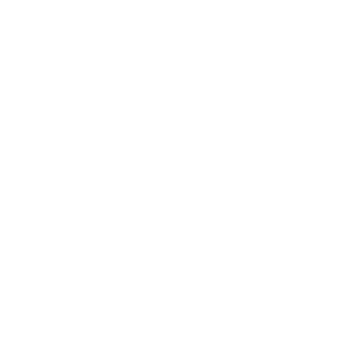 Birdy innova